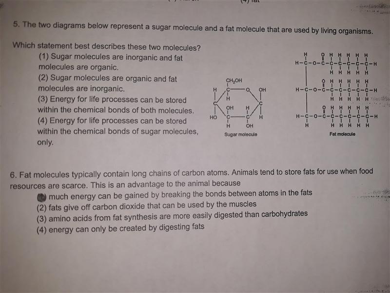 What is the answer to #5 ?-example-1