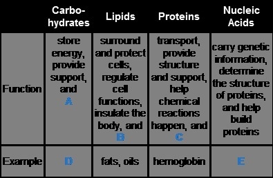 Fill in the information missing in the table to the right by selecting the appropriate-example-1