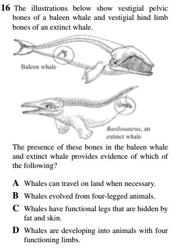 12 thought 16 please help. im hopeless-example-5