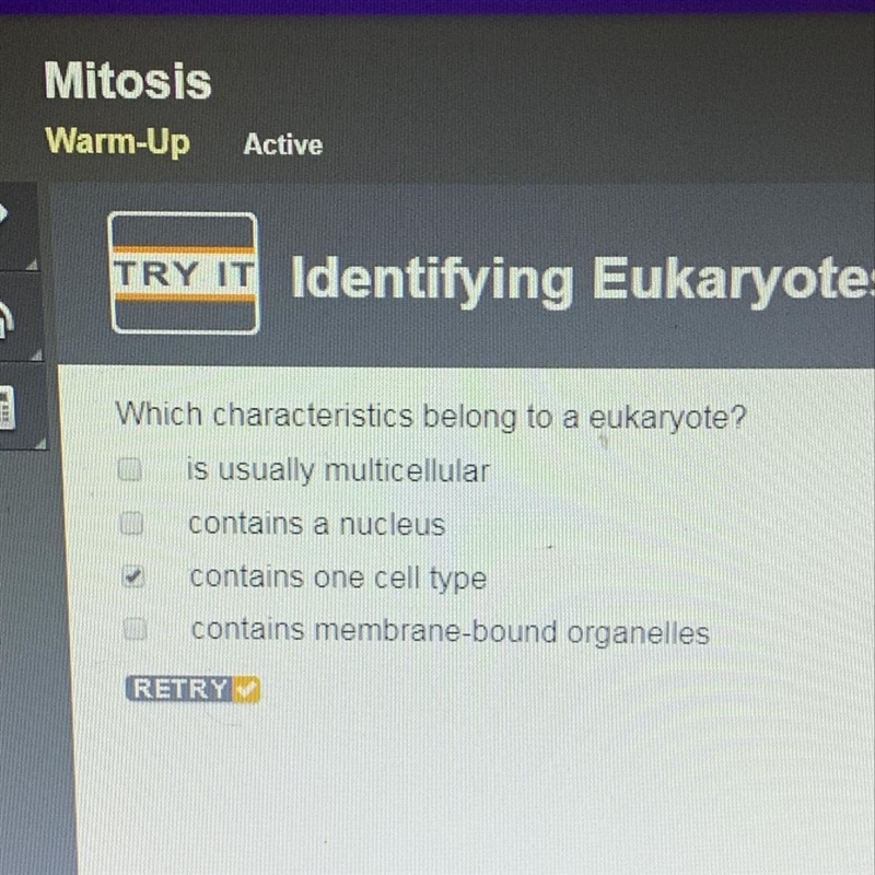 Which characteristics belong to a eukaryote-example-1