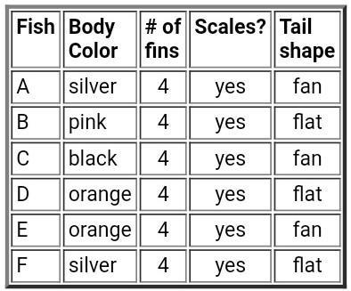 Which of the above characteristics would be most helpful in developing a classification-example-1