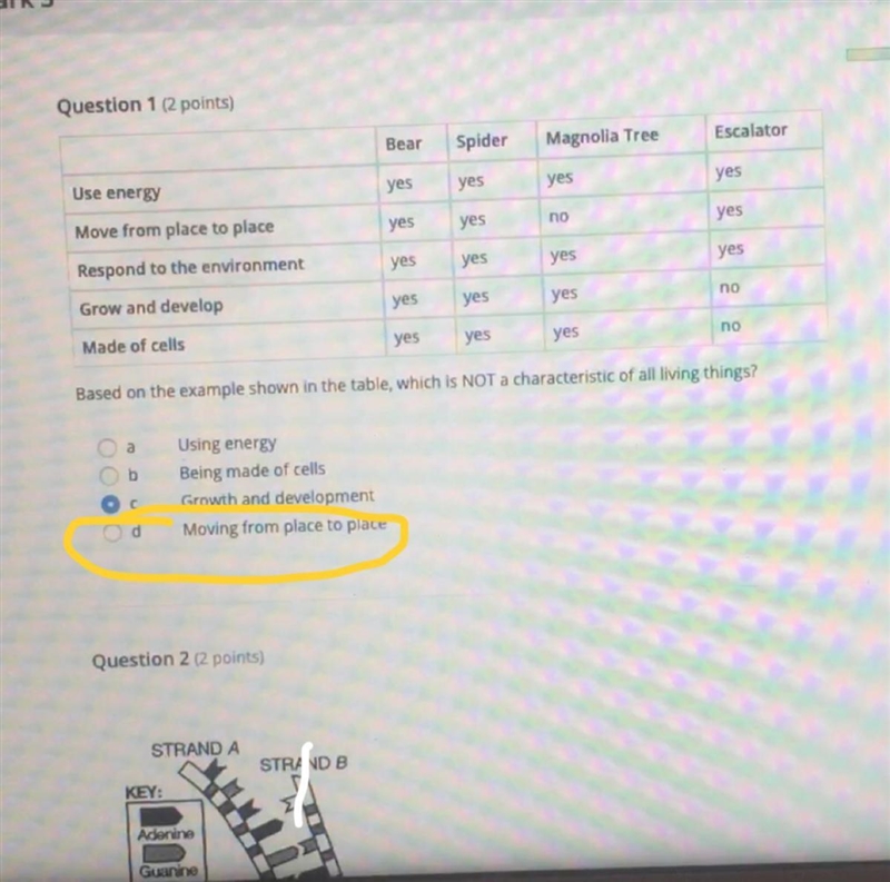 Need help on checking my answers! The ones circled in yellow are the ones that I believe-example-1