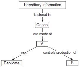 In the illustration below, which molecules are represented by boxes A and B? Give-example-1