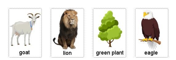 Place the organisms in the correct locations in this food web.-example-2