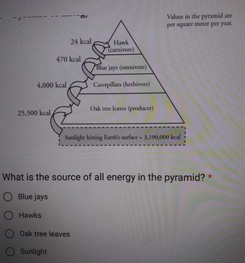 What is the source of all energy in the pyramid?-example-1