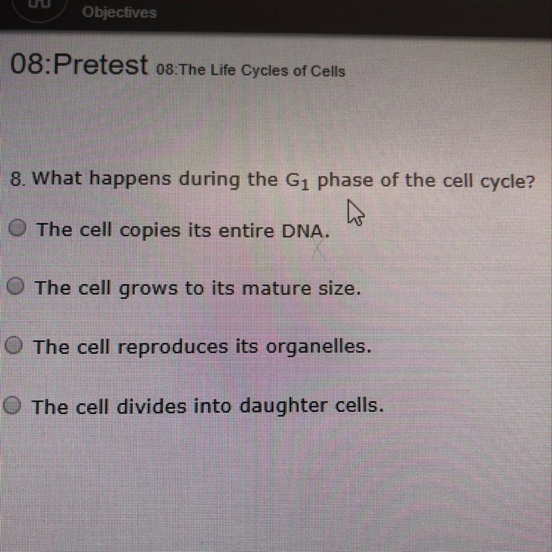 What happens during the G1 phase of the cell cycle?-example-1