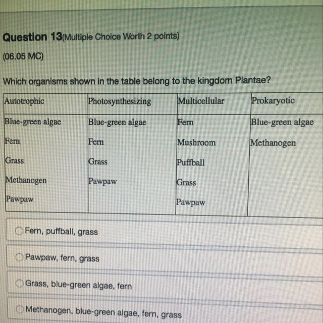 Which organisms shown in the table belong to the kingdom Plantae? A) Fern, puffball-example-1