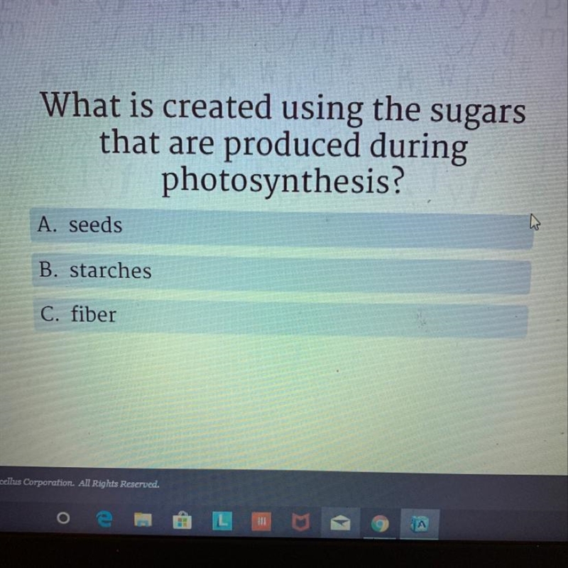 What is created using the sugars that are produced during photosynthesis?-example-1