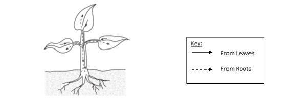 PLEEEEEEEEEASEEEE HEEELLLLPPP...!!! Use the diagram to answer the question: Which-example-1