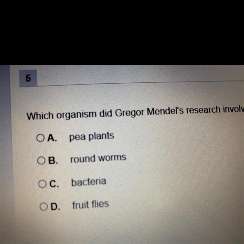 What organism did Gregor Mendel‘s research involves-example-1