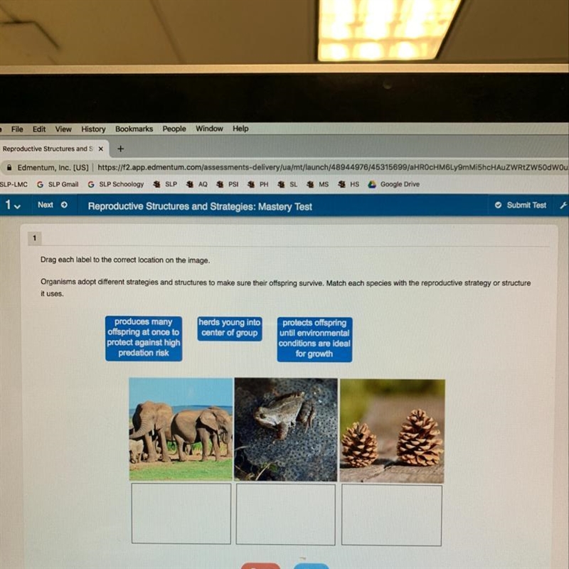 Drag each label to the correct location on the image. G Organisms adopt different-example-1