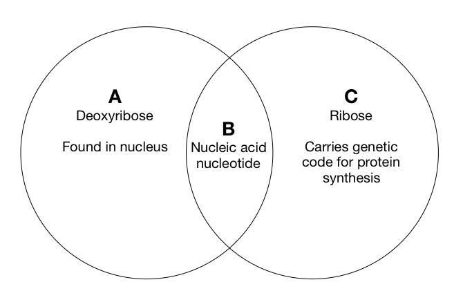 Using the Venn diagram provided, in which section would you place the following descriptors-example-1