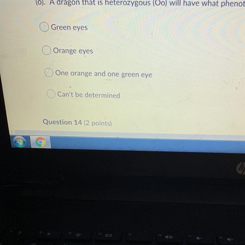 The allele for orange eyes (O) is dominant and the allele for green eyes is recessive-example-1