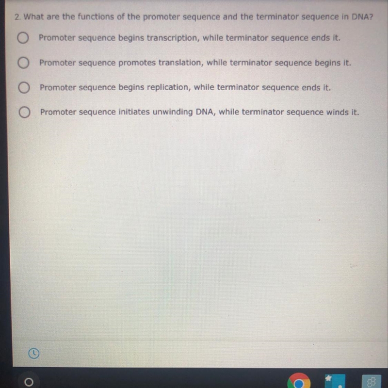 What are the functions of the promoter sequence and the terminator sequence in DNA-example-1