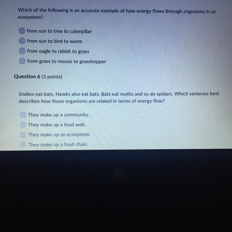 Which of the following is an accurate example of how energy flows through organisms-example-1