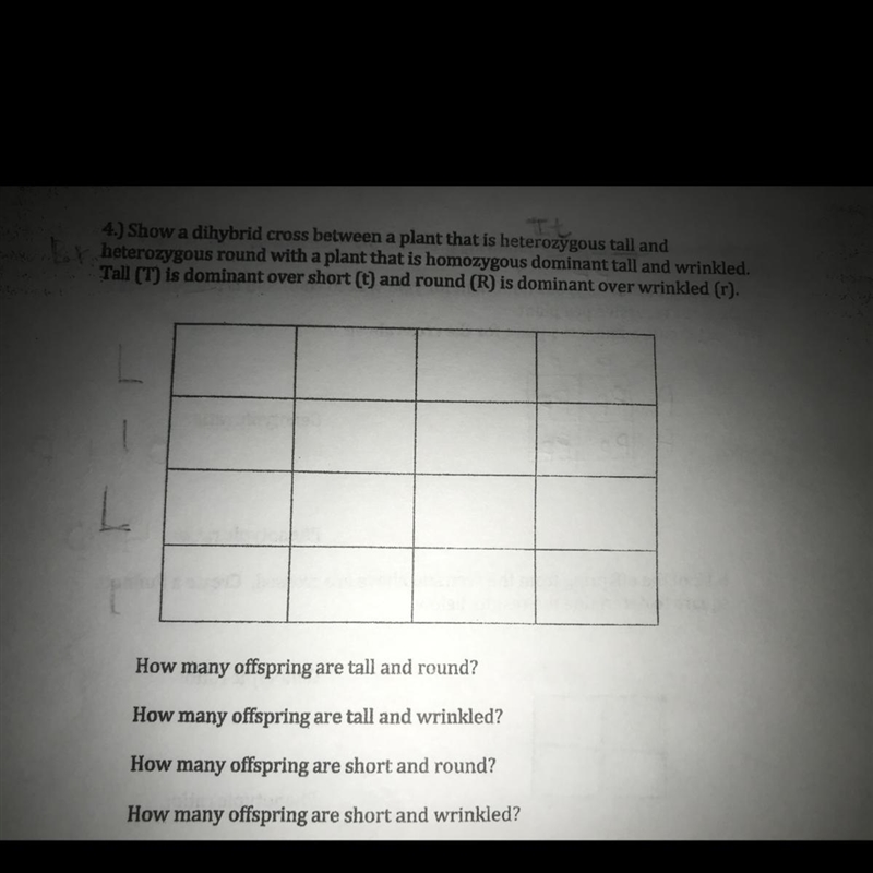 Pls give me a brief explanation too since I do not know how to do these dihybrid cross-example-1