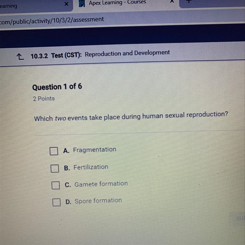 What two events take place during human sexual reproduction-example-1