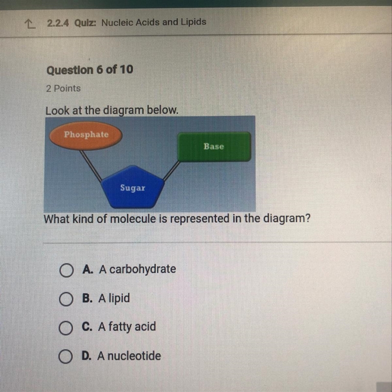 Look at the diagram below. What kind of molecule is represented in the diagram?-example-1