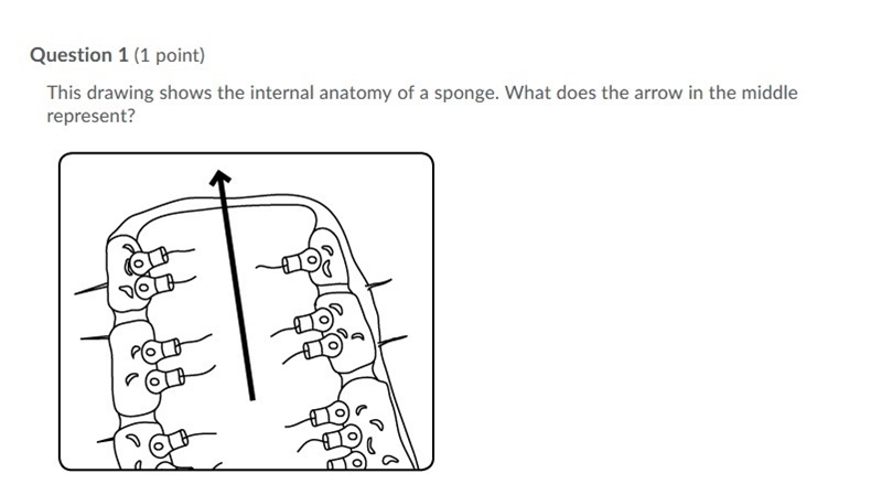 PLZ help me with this question!!-example-2