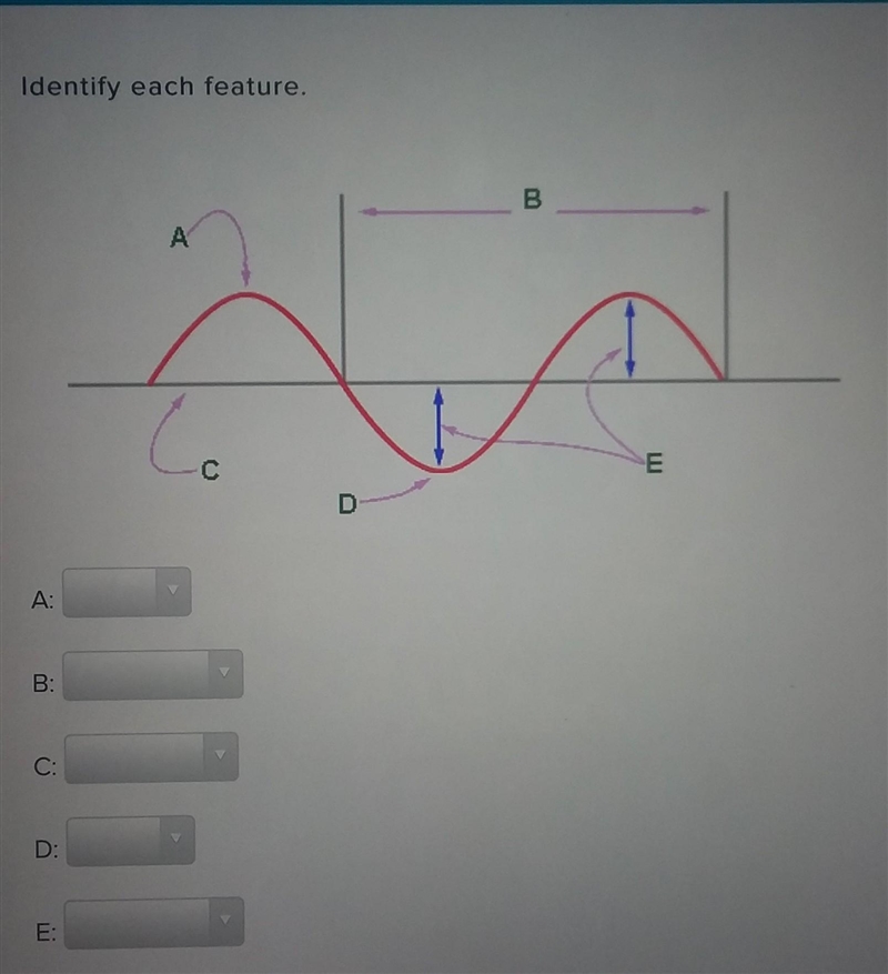 A- trough or Crest B- Wavelength or frequency C- level or equilibrium D- trough or-example-1