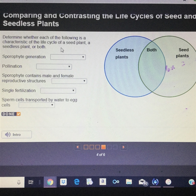 The options are: Seedless Seed Both-example-1