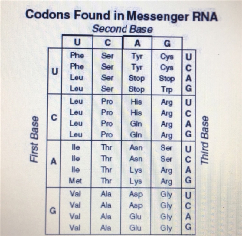 In Figure 13-3, which amino acid is specified by the mRNA code GGC? a.) Gly b.) Ala-example-1