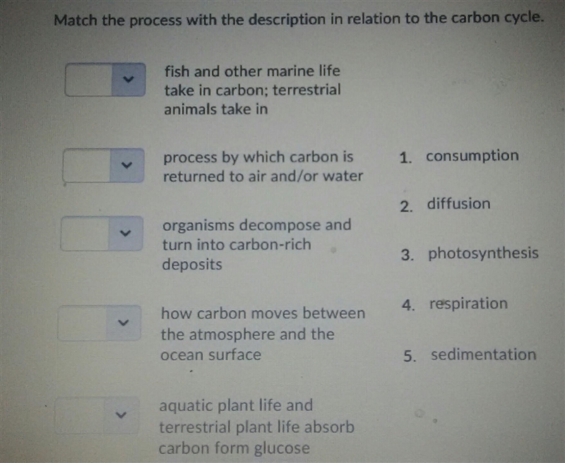 Which element jas altered the carbon cycle? a) oxygen b) nitrogen c) human d) sulfur-example-1