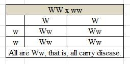 2. Refer to the family pedigree shown here. In generation |, one parent is affected-example-1