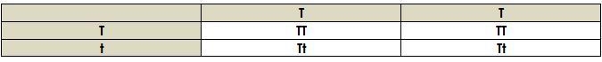 Rule: 7-tongue roller, 1 - non roller 1. Tom's father was a purebred tongue roller-example-1