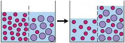 state one reason why a glucose molecule is more likely than a sucrose molecule to-example-3