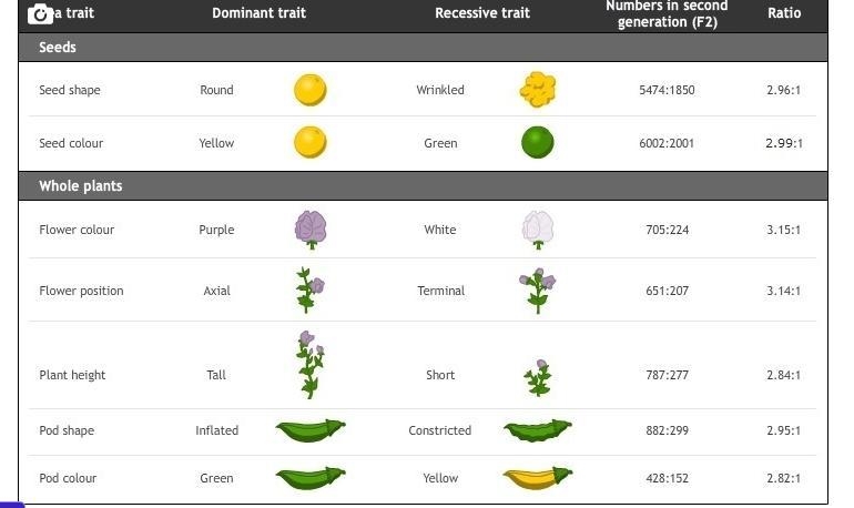 Which discovery did Gregor Mendel make?-example-1