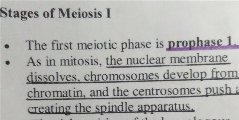 Prophase I of meiosis, crossing over results in-example-1