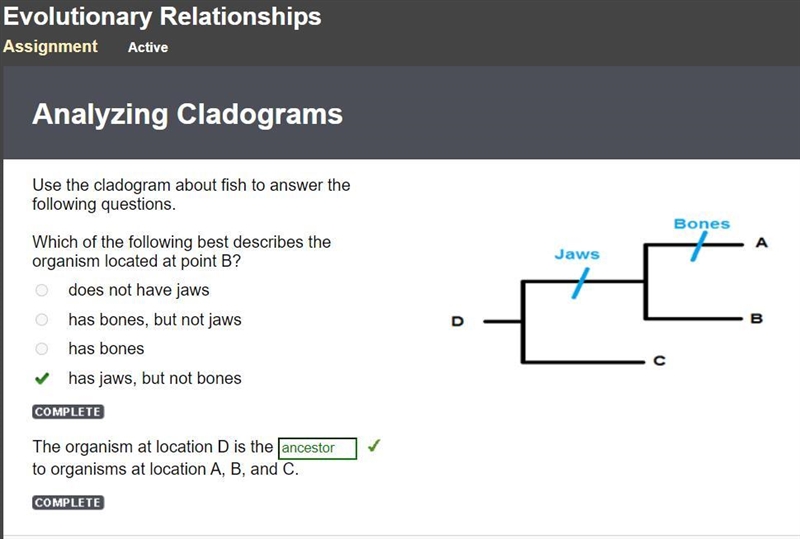 Use the cladogram about fish to answer the following questions. Bones Jaws Which of-example-1