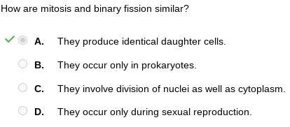 How are mitosis and binary fission similar? A. They produce identical daughter cells-example-1