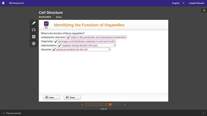 What is the function of the organelle-example-1