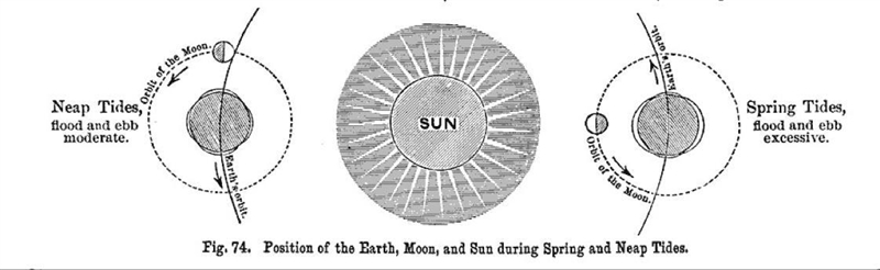 Describe the relative positions of earth, the moon, and the sun for a spring tide-example-1