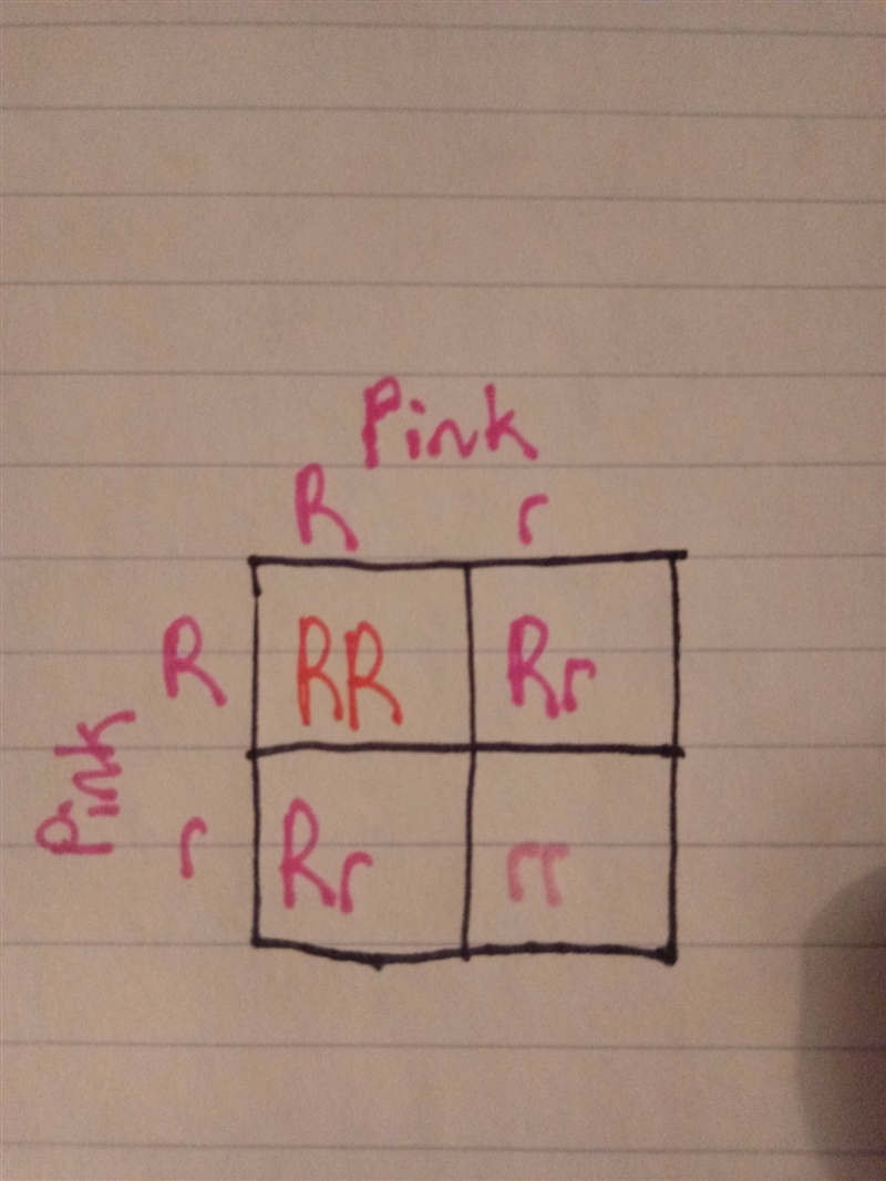 Help please !! I really don’t understand this much☹️-example-3