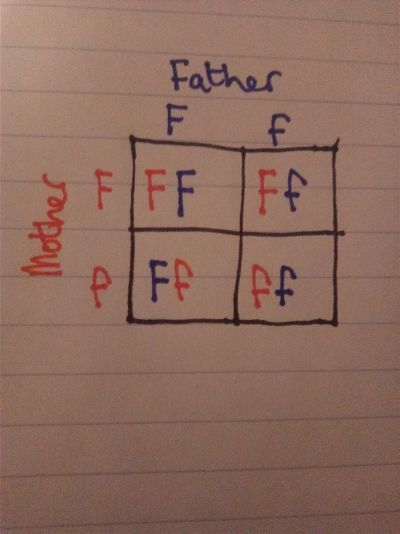 Help please !! I really don’t understand this much☹️-example-1