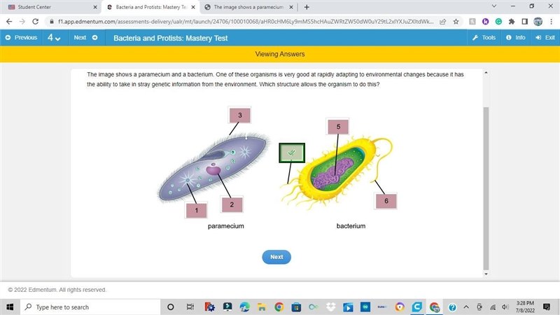 The image shows a paramecium and a bacterium. One of these organisms is very good-example-1