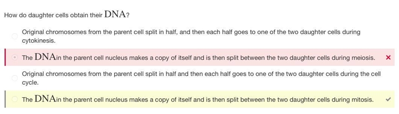 How do daughter cells obtain their DNA? A. The DNA in the parent cell nucleus makes-example-1