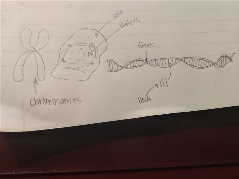 Identify the structures ! 20 points-example-1