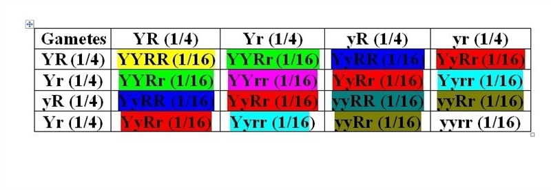 What is a genotype ration between the cross YyRr x YyRr?-example-1