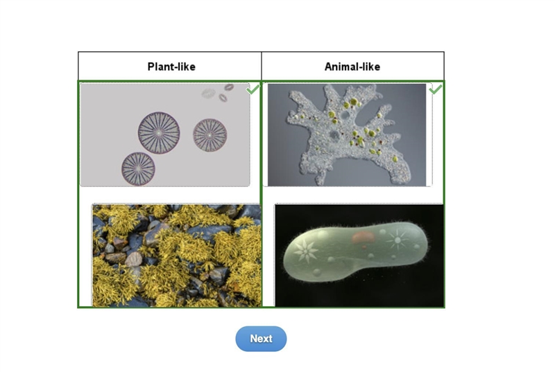 Drag each tile to the correct location Anne, an intern in a microbiology lab, was-example-1