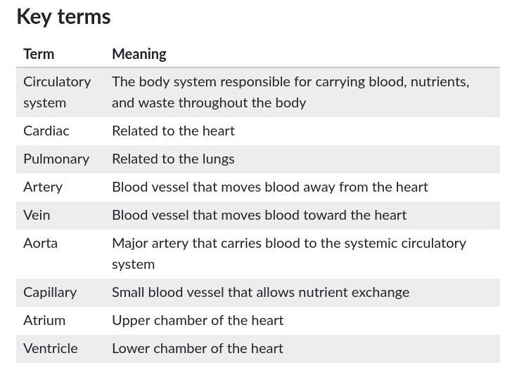 Can someone help in circulatory system-example-1