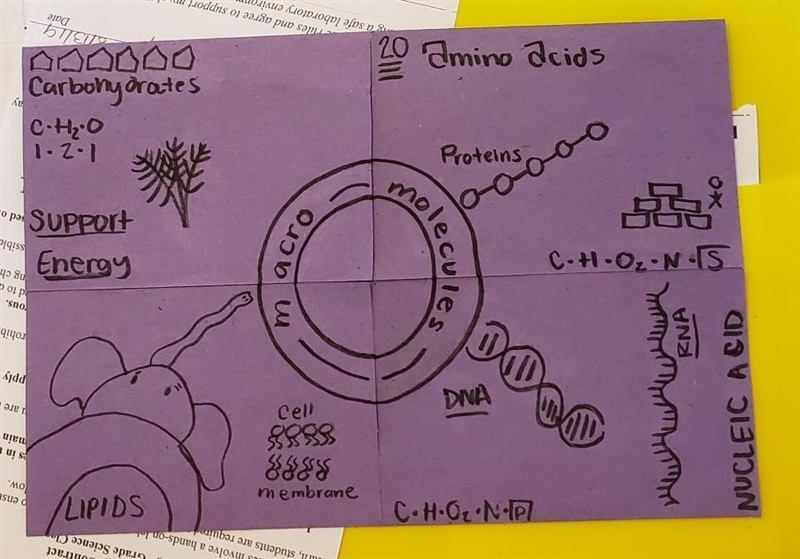 What are the building blocks of macromolecules?-example-1