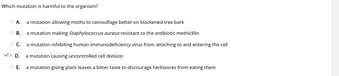 Which mutation is harmful to the organism? A. a mutation allowing moths to camouflage-example-1
