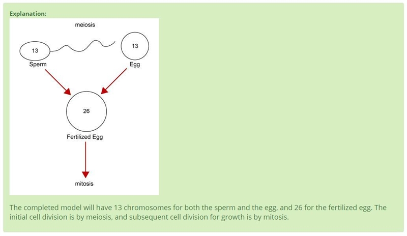 Frogs have 13 pairs of chromosomes. Complete this model by writing in the correct-example-1