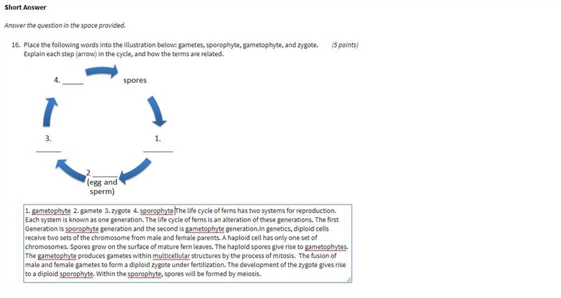 Place the following words into the illustration below: Gametes, sporophyte, gametophyte-example-1