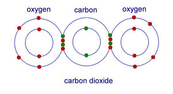 Which of the following is the name for two or more types of atoms that are chemically-example-1