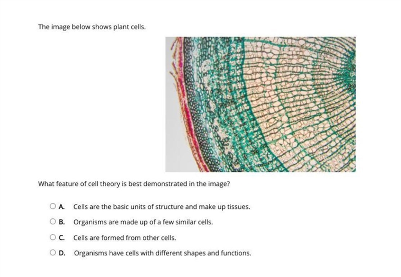 What feature of cell theory is best demonstrated in the image-example-1